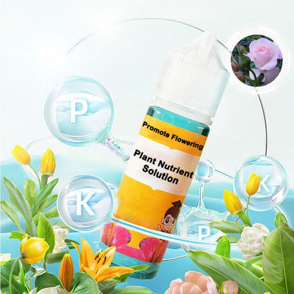 FloraLux™ — Ignite Explosive Blooms That Captivate Every Eye