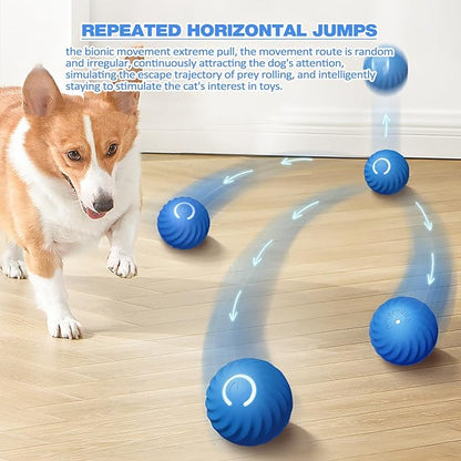 SparkTail™ — Ignite Your Dog’s Wild Instincts with Endless Thrills and Nonstop Fun