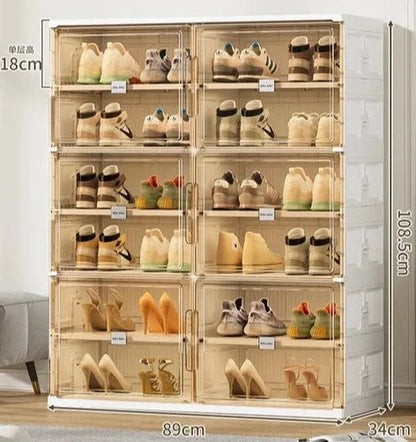 Intelligent Shoe Organizer