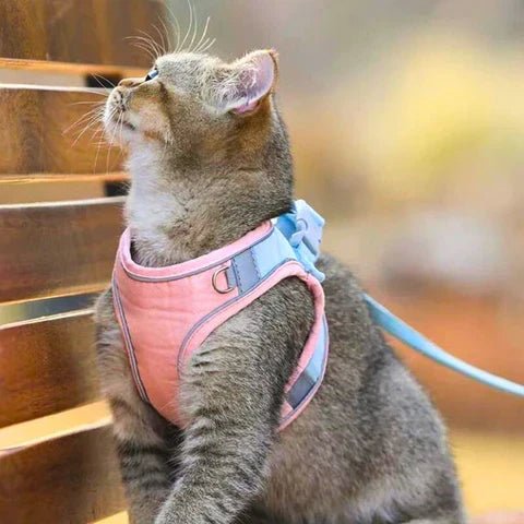 RamoraStride™ — Let Your Cat Explore Freely with Comfort and Nighttime Safety