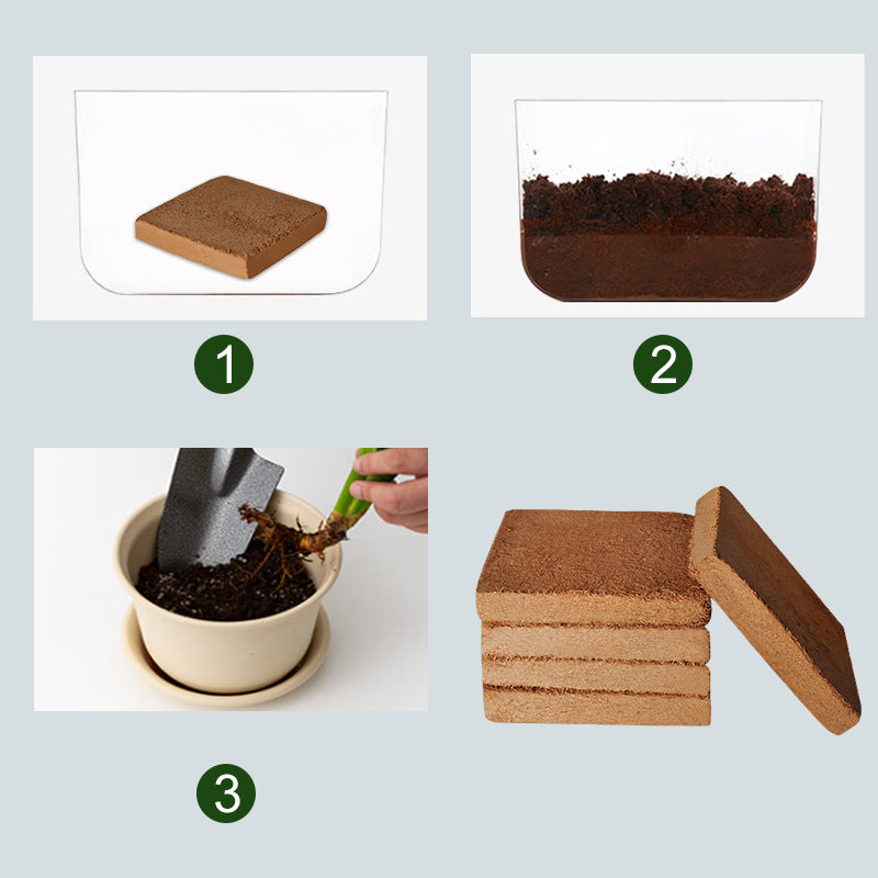 EverRoot™ Organic Coconut Coir — Ignite Radical Growth with Oxygen-Rich, Moisture-Locked Roots