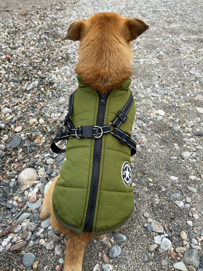 BraveTail™ Weather Jacket — Wrap Your Dog in Cozy Warmth and Effortless Control, Rain or Shine