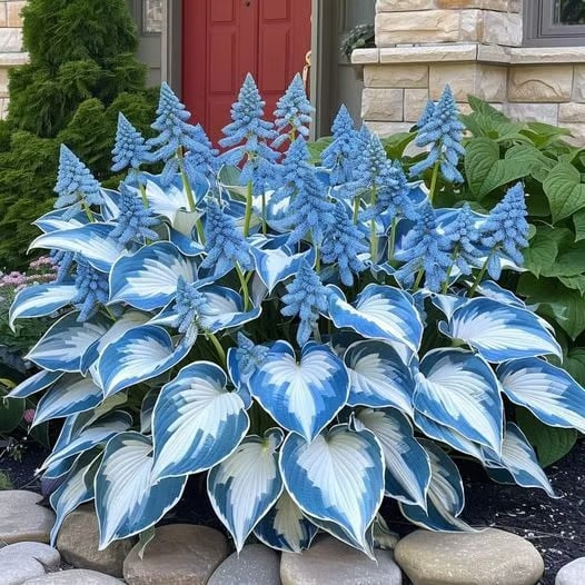 ShadePulse™ — Revive Every Shadow with Effortless, Vibrant Garden Life