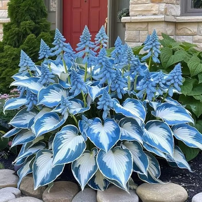 ShadePulse™ — Revive Every Shadow with Effortless, Vibrant Garden Life