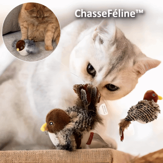 PredaPurr | Awaken your cat's wild instinct!