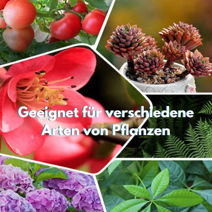 GrowBoost™ — Revive Plants Fast & Naturally | 1+1 Free