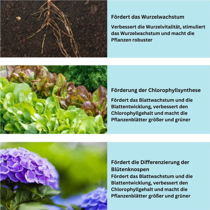 GrowBoost™ — Revive Plants Fast & Naturally | 1+1 Free