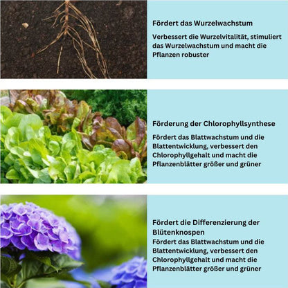 GrowBoost™ — Revive Plants Fast & Naturally | 1+1 Free