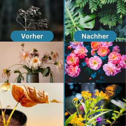 GrowBoost™ — Revive Plants Fast & Naturally | 1+1 Free
