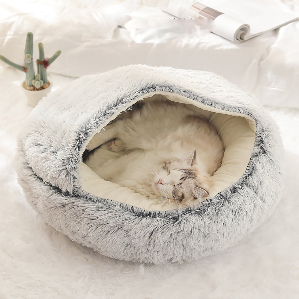 50% OFF | Cozy Pet Bed [Final Day Discount]