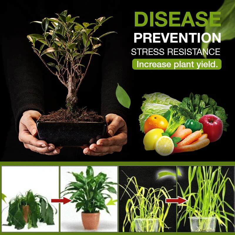 Natural soil activator for garden in 3 days