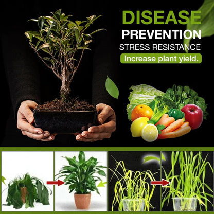 Natural soil activator for garden in 3 days