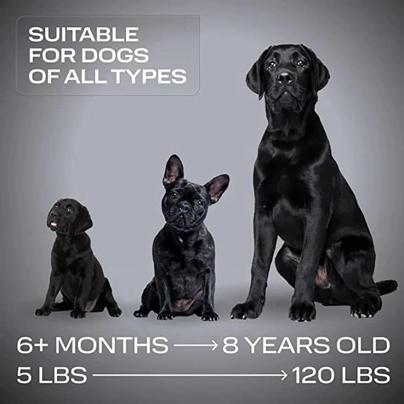 SilentGuard™ — Instantly Calm Your Dog, Pain-Free | 50% Off
