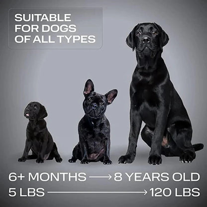 SilentGuard™ — Instantly Calm Your Dog, Pain-Free | 50% Off