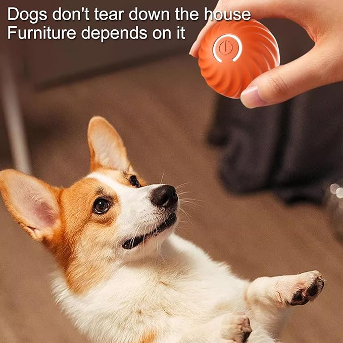 SparkTail™ — Ignite Your Dog’s Wild Instincts with Endless Thrills and Nonstop Fun