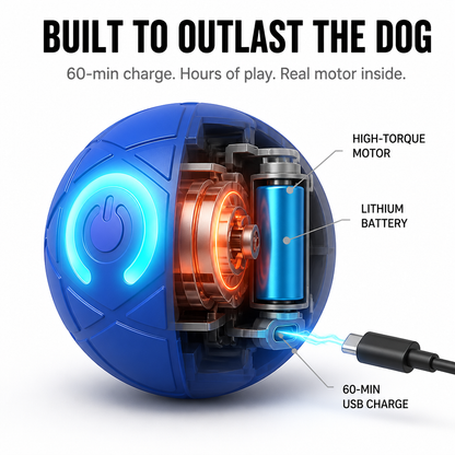 DashRoll™ — Tire Out Your Dog’s Energy Hands-Free While You Work