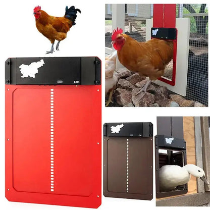 Automatic Chicken Coop Door - Predator-Proof, Weather-Resistant with Simple Installation