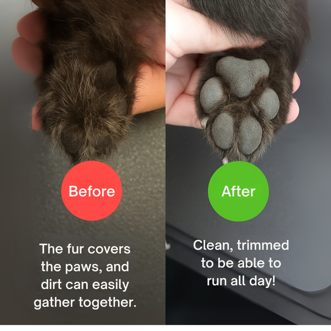 LumiPaw™ — Transform Grooming Into Calm, Cuddle-Worthy Moments