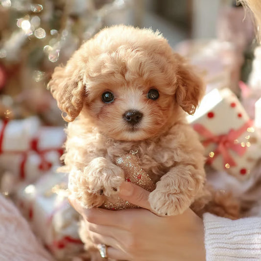 FurEverJoy™ — Feel Heartwarming Puppy Magic Without the Mess or Noise