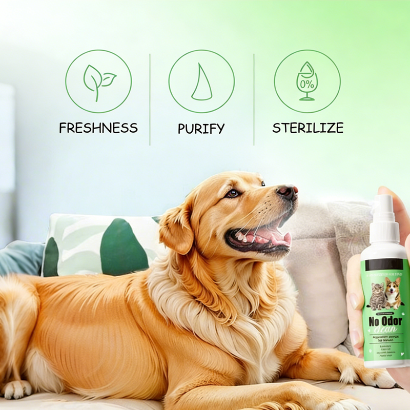 FreshPawMist™ — Effortless Fresh Breath and a Radiant Smile Your Pet Deserves