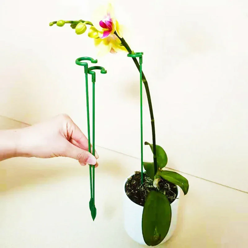 EasyPlant™ Elegant Stem Support