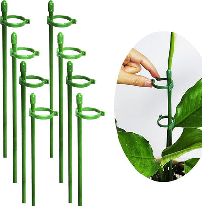 GrowSteady™ — Unshakable Support That Grows Your Garden Into a Lush Powerhouse