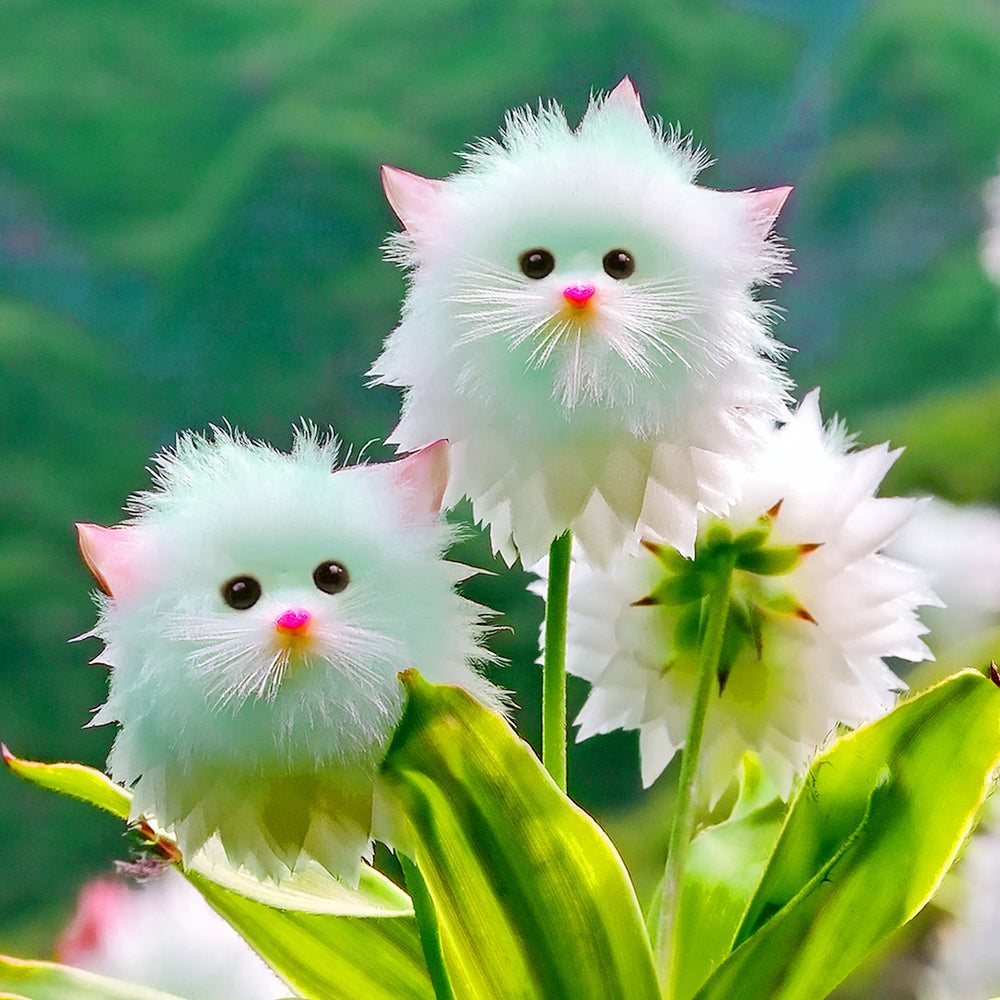 MoonPaw™ Blooms — Transform Your Garden Into a Joyful, Whimsical Paradise