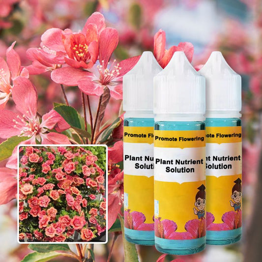 FloraLux™ — Ignite Explosive Blooms That Captivate Every Eye