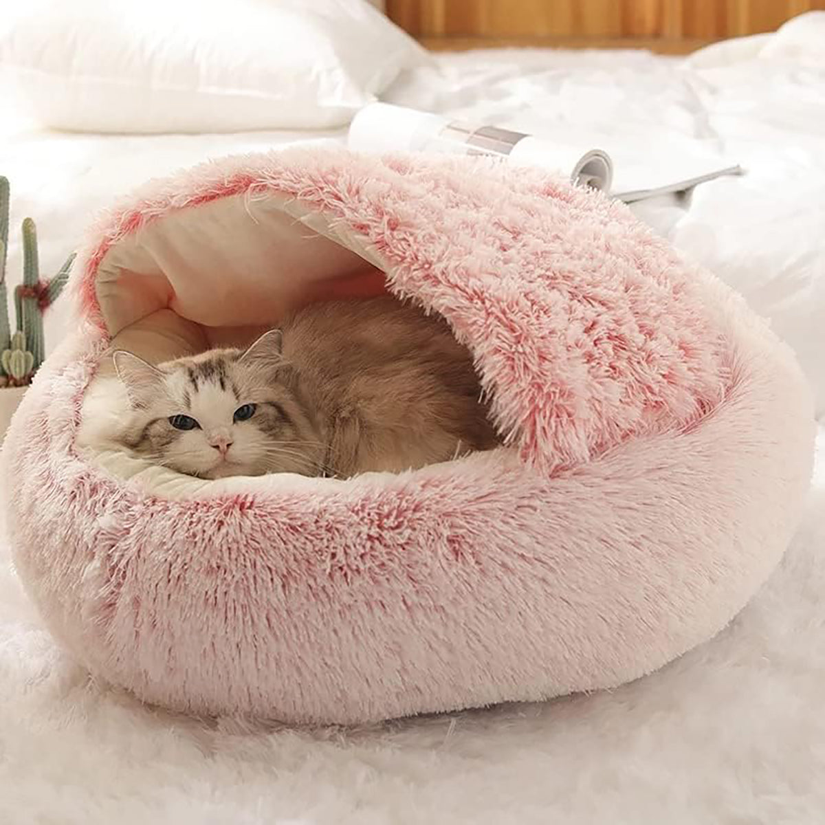 Snugpaws™ — Cozy Calm for Anxious Pets | 50% Off