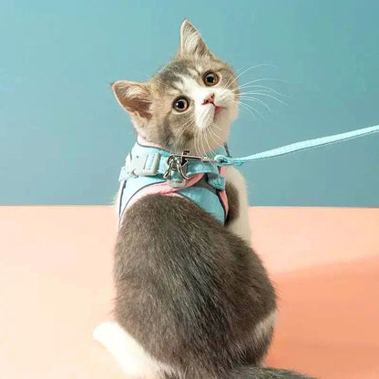 RamoraStride™ — Let Your Cat Explore Freely with Comfort and Nighttime Safety