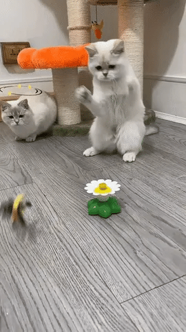 PetJoy® Electric Bird Toy for Cats – Encourages Play, Exercise, and Joy!