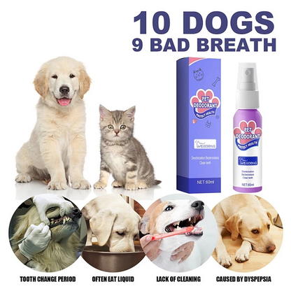 VitaPaws™ Breath Spray — Snuggle Closer with Instant, Natural Freshness