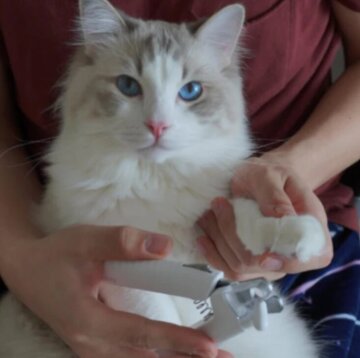 PrimiGroom™ — Trim with Laser Precision for Calm, Confident Pet Care Every Time