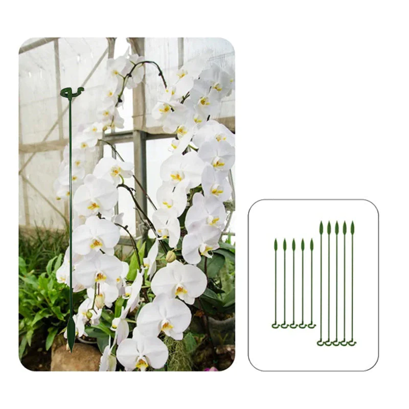 EasyPlant™ Elegant Stem Support