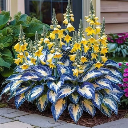 ShadePulse™ — Revive Every Shadow with Effortless, Vibrant Garden Life
