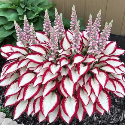 ShadePulse™ — Revive Every Shadow with Effortless, Vibrant Garden Life