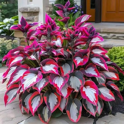 ShadePulse™ — Revive Every Shadow with Effortless, Vibrant Garden Life