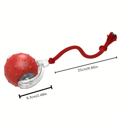 TurboTug™ — Unleash Every Dog’s Wild Energy and Ignite Joyful, Jaw-Dropping Playtime