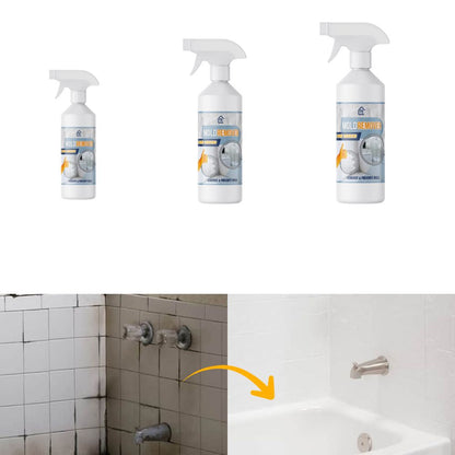 BactiShield™ — Quickly Eliminate Mold for a Safer, Fresher Home