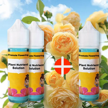 FloraLux™ — Ignite Explosive Blooms That Captivate Every Eye