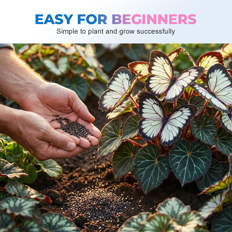 LunaWing™ Butterfly Bloom Seeds — Watch Your Garden Spark Magic with Stunning Butterfly Blooms
