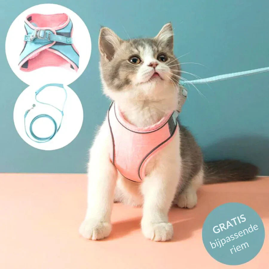 RamoraStride™ — Let Your Cat Explore Freely with Comfort and Nighttime Safety