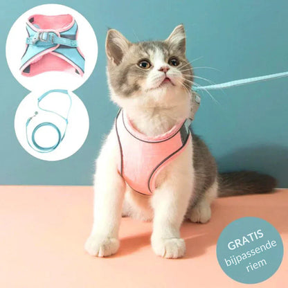 RamoraStride™ — Let Your Cat Explore Freely with Comfort and Nighttime Safety