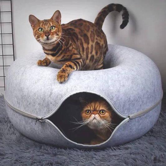 CatDome - Donut-Shaped Cat Tunnel Bed