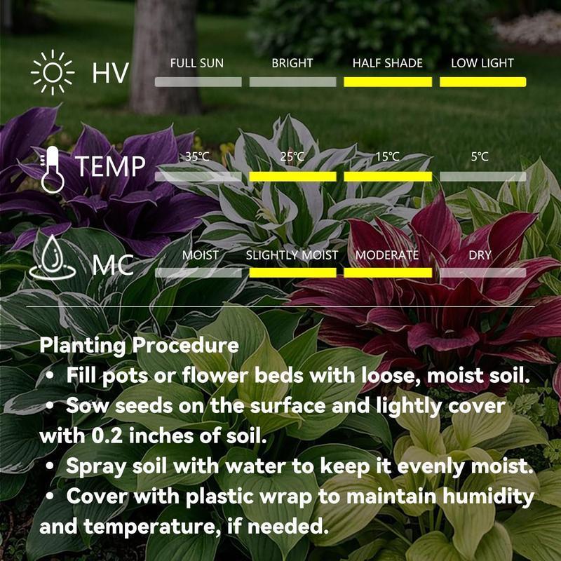 ShadePulse™ — Revive Every Shadow with Effortless, Vibrant Garden Life