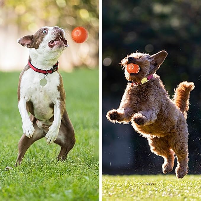 SparkTail™ — Ignite Your Dog’s Wild Instincts with Endless Thrills and Nonstop Fun