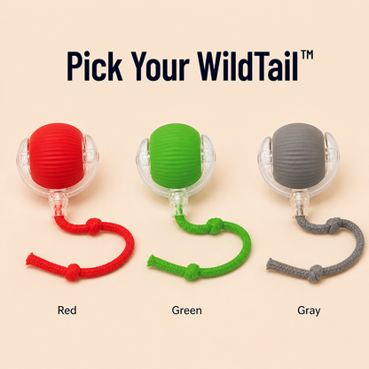 WildTail™ — Make Your Bored Indoor Cat Hunt & Leap Again
