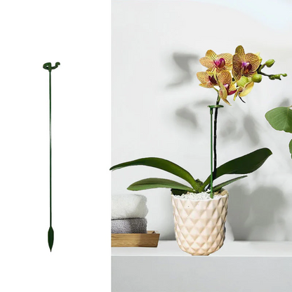 EasyPlant™ Elegant Stem Support