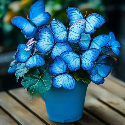 LunaWing™ Butterfly Bloom Seeds — Watch Your Garden Spark Magic with Stunning Butterfly Blooms