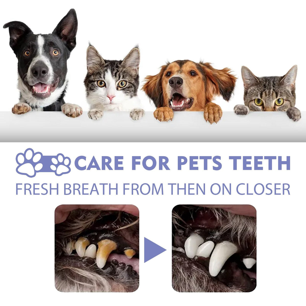 VitaPaws™ Breath Spray — Snuggle Closer with Instant, Natural Freshness